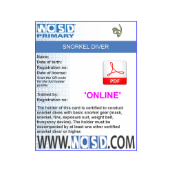 Course package W_SNOR 'online'